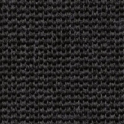 Sierra Black swatch