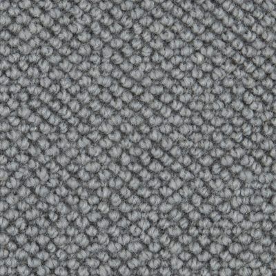 Barracuda swatch