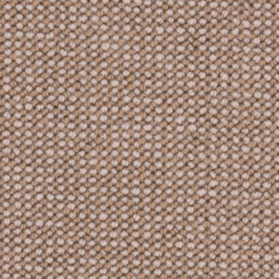 Cygnus swatch