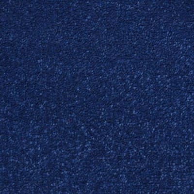 Navy Carpet swatch