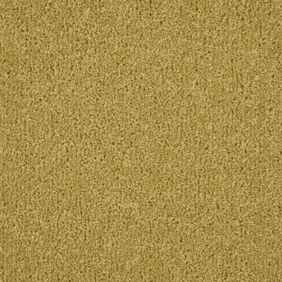 Carpet swatch