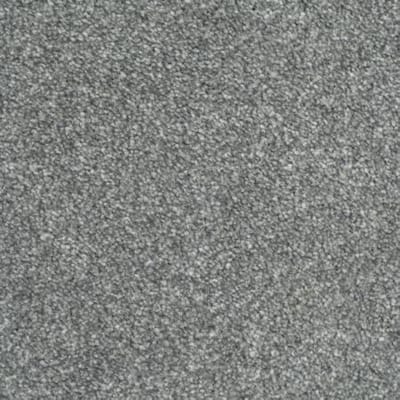 Seal Carpet swatch