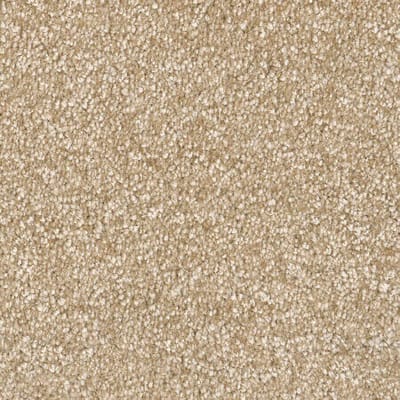 Biscuit swatch