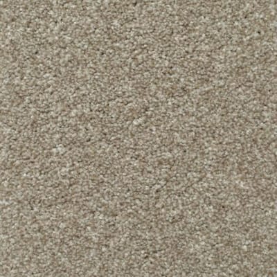 Beige Carpet swatch