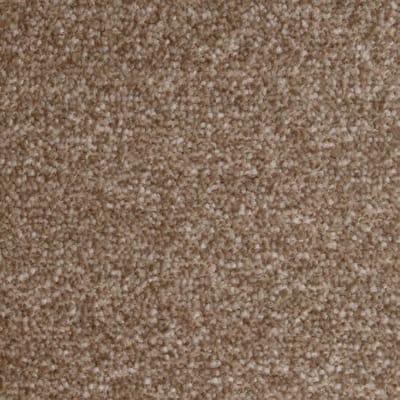 Cinnamon Carpet swatch