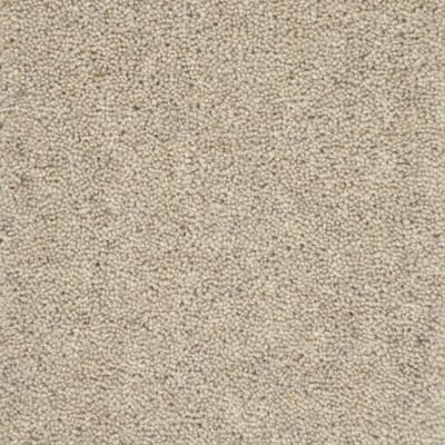 Beige Carpet swatch
