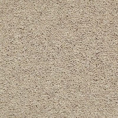 Oatmeal Carpet swatch
