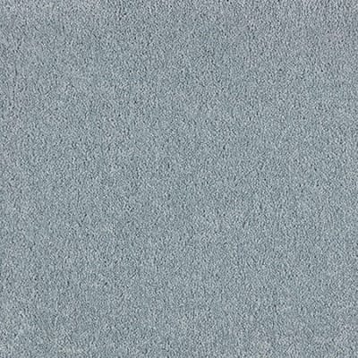 Carpet swatch