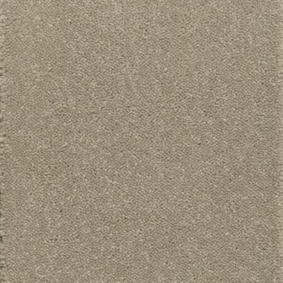 Moleskin Carpet swatch