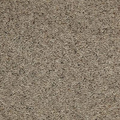 Silver Birch Carpet swatch
