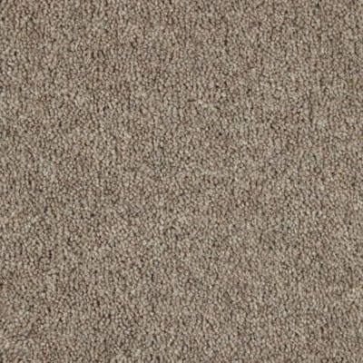 Ash Carpet swatch