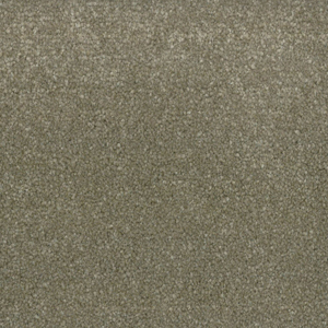 Anise swatch