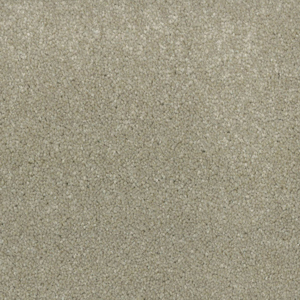 Fennel swatch