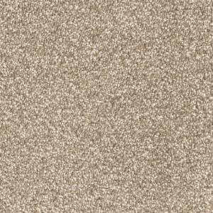 Sandy swatch