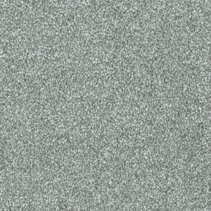 Silver swatch