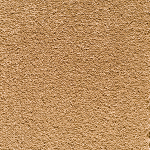 Chocolate Chip swatch