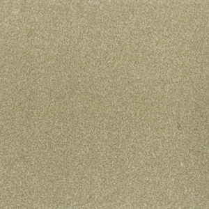 Dorado swatch