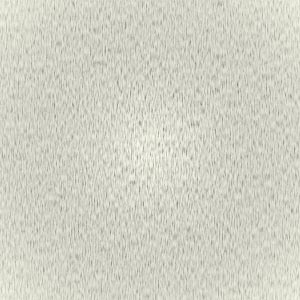 Ivory swatch