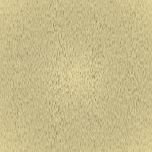 Vanilla swatch