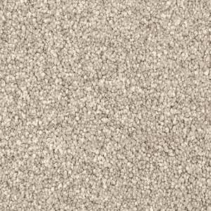 Maize swatch