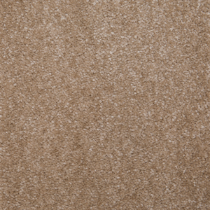 Oak swatch