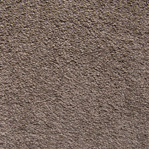 Casa swatch