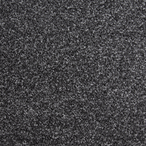 Dinghy swatch