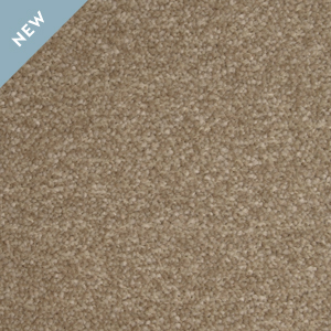 Shoreline swatch