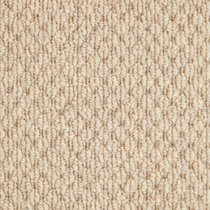 Braid Cremello swatch