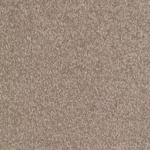 Vanquish swatch