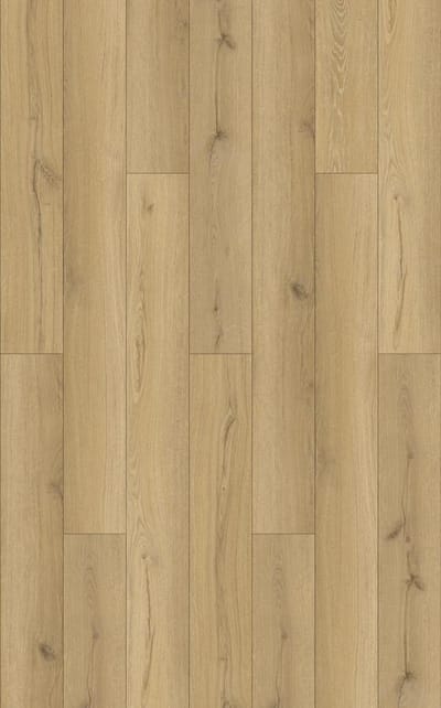 Plank Elm Oak swatch