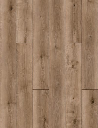 Plank French Oak swatch