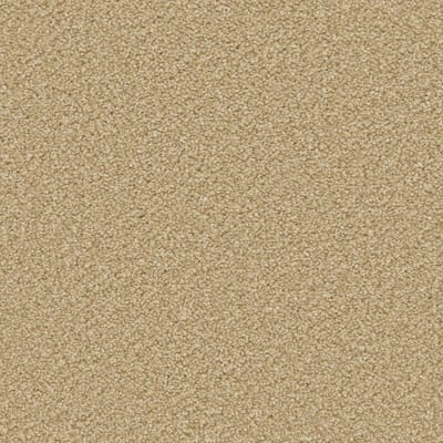 Caramel swatch