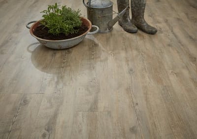 Oak swatch
