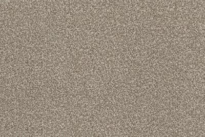 Bounty Digestive swatch