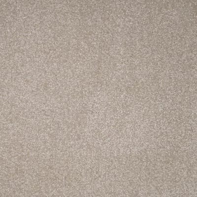 Sirocco (Special) swatch