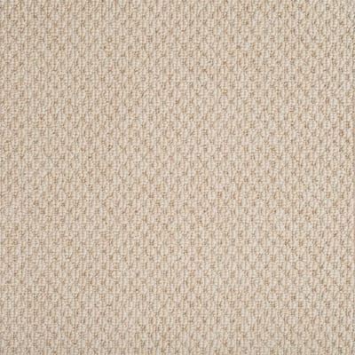 Champagne B100 swatch