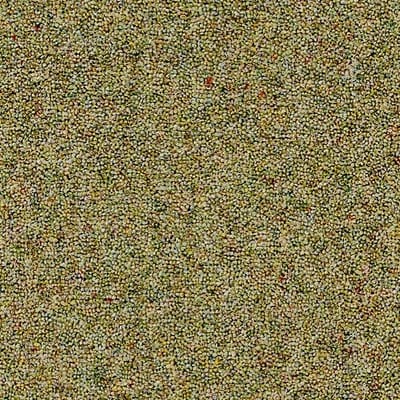 Heathers Amazon swatch