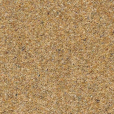 Heathers Biscoti swatch