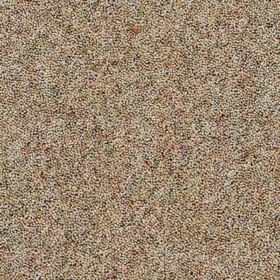 Heathers Camel swatch