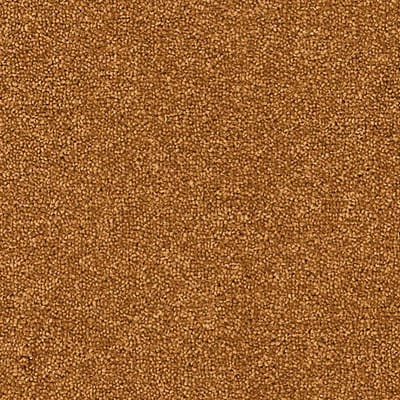 Plains Auburn swatch