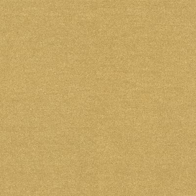Plains Butterscotch swatch