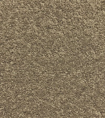 Ash swatch