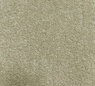 Clay swatch