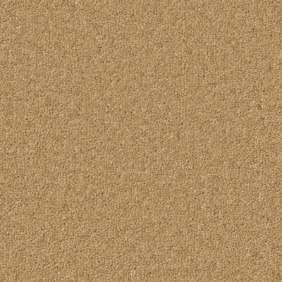 Maize swatch