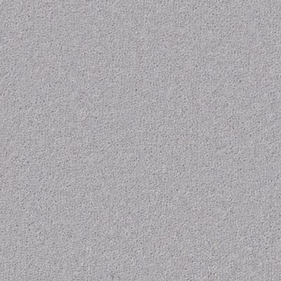 Pole Star swatch
