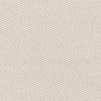 Ammonite 1626 swatch