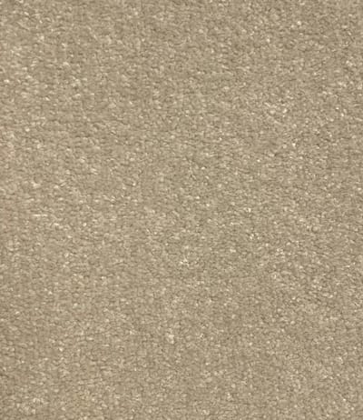 Hercules Shell swatch