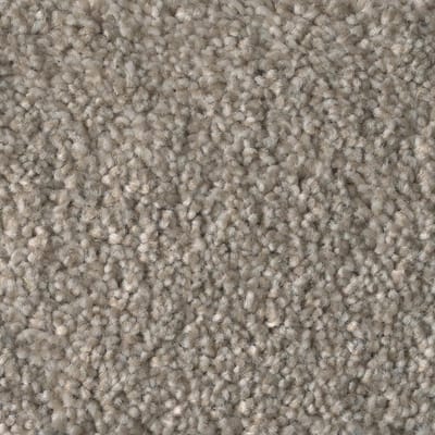 Shell swatch