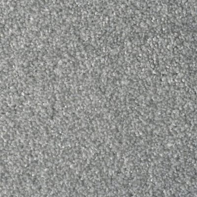 Silver swatch